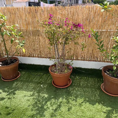 Secret Attic Apartment Marbella