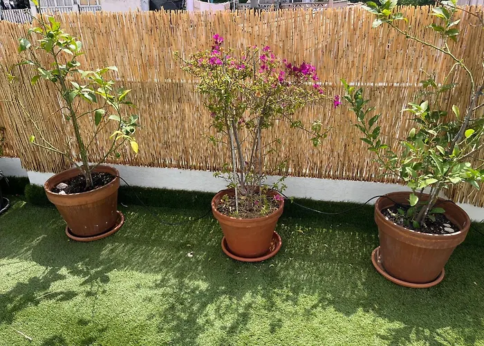 Secret Attic Lägenhet Marbella